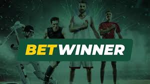 Discover the Exciting World of BetWinner Bookmaker