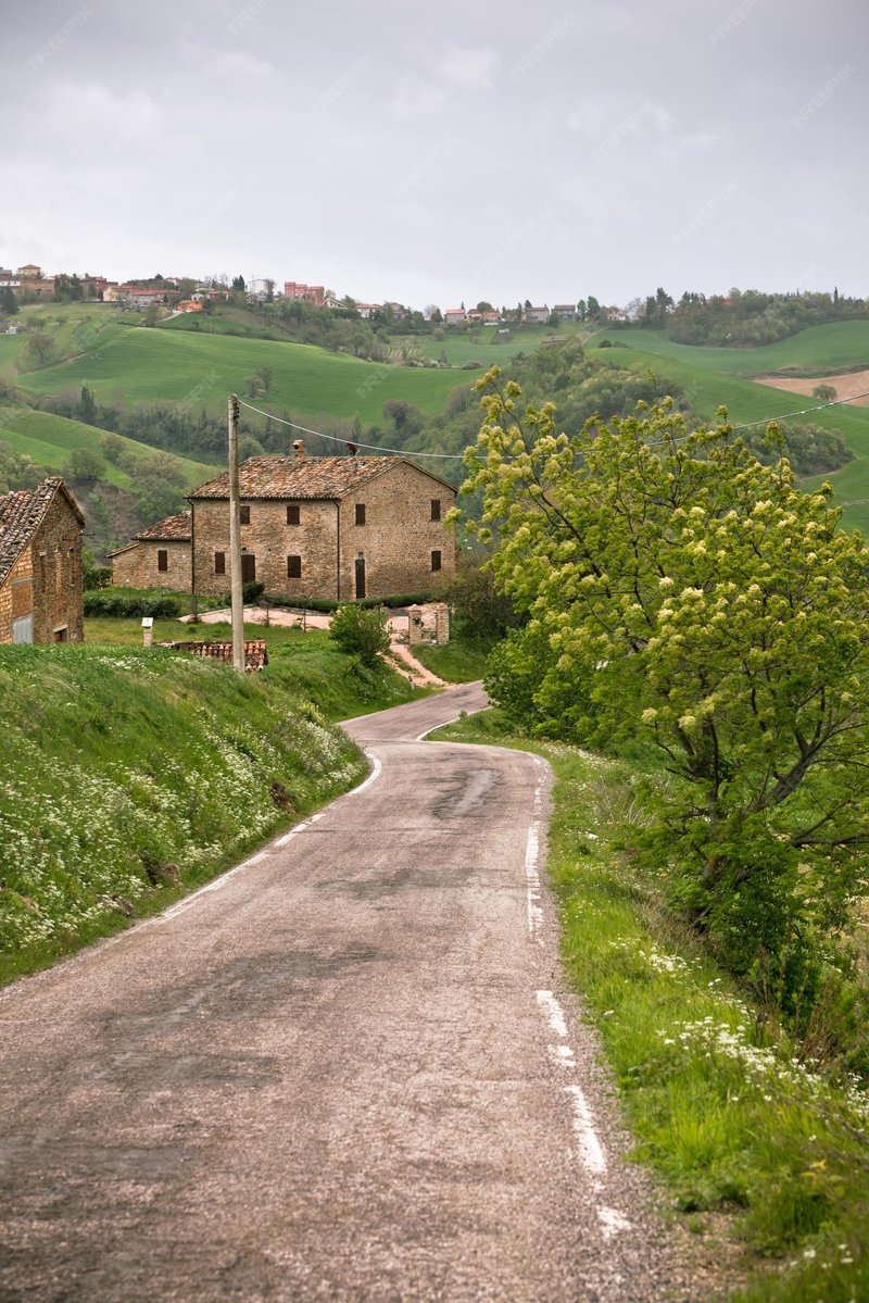 La Strada Dell'Aquila: Tutte le Informazioni Sulle Novità Di Chicken Road Italia, chicken road online