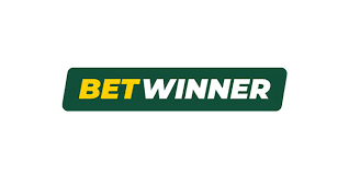 BetWinner Online Casino Review Uncovering the Best Features and Benefits